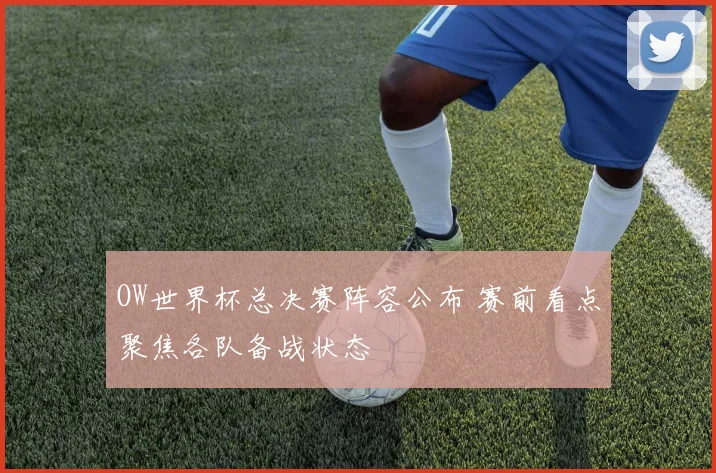 OW世界杯总决赛阵容公布 赛前看点聚焦各队备战状态