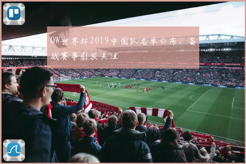 OW世界杯2019中国队名单公布,备战赛事引发关注
